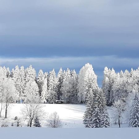Almhuette Villa Waldenstein  ภายนอก รูปภาพ