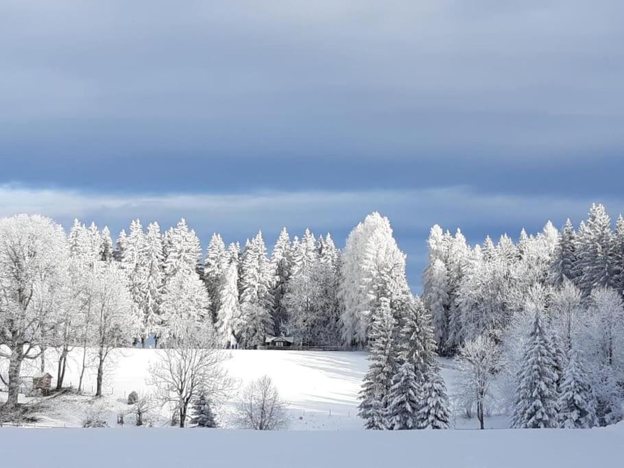 Almhuette Villa Waldenstein  ภายนอก รูปภาพ