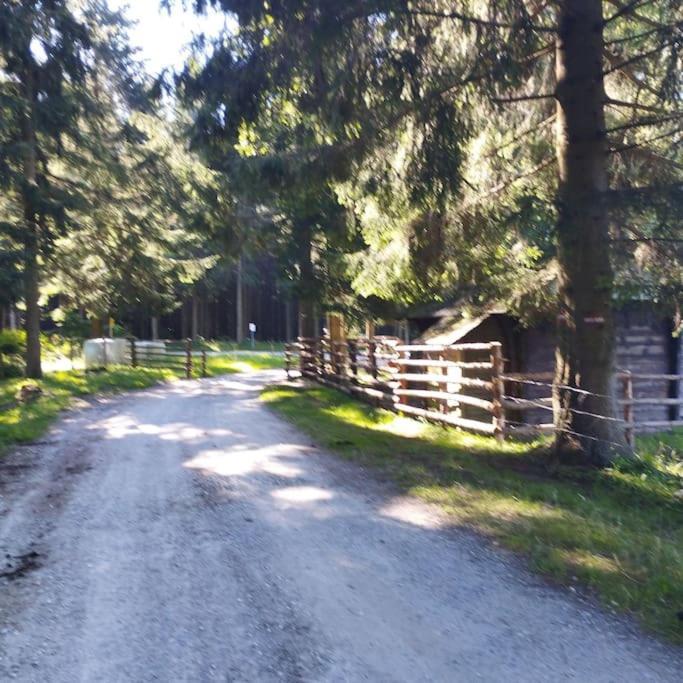 Almhuette Villa Waldenstein  ภายนอก รูปภาพ