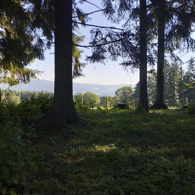 Almhuette Villa Waldenstein  ภายนอก รูปภาพ