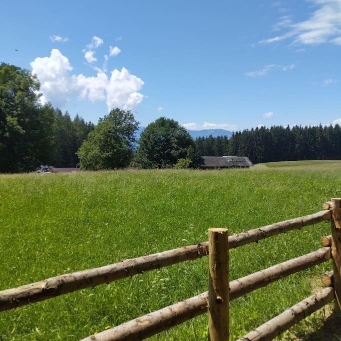 Almhuette Villa Waldenstein  ภายนอก รูปภาพ